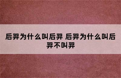 后羿为什么叫后羿 后羿为什么叫后羿不叫羿